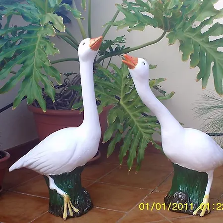 Apartment Tigaiga Ii